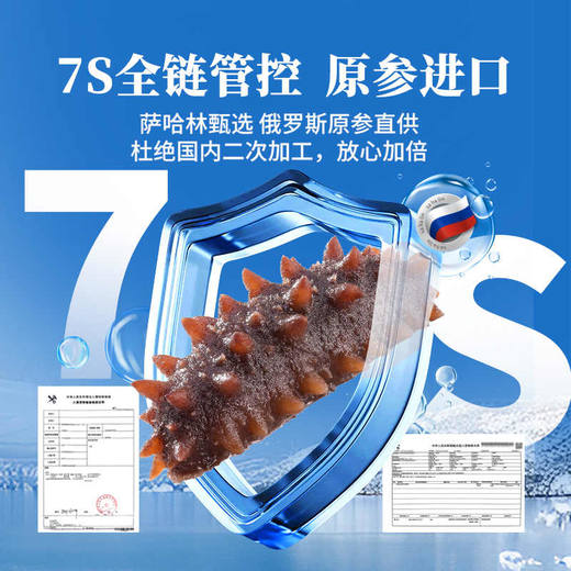 【年货节】俄罗斯海参干货萨哈林 鲜炖+鲜发  礼盒装 俄罗斯进口海参 商品图6