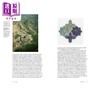 预售 【中商原版】Persian Cultures of Power and the Entanglement of the Afro-Eurasian World 进口艺术 波斯权力文化 商品缩略图4