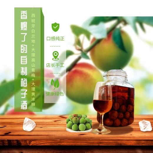 阅酒自制梅子酒３L罐装（自提赠送梅子酒专用酒杯2只）（费用含玻璃罐、白兰地、青梅、黄冰糖、制作费、邮费） 商品图0