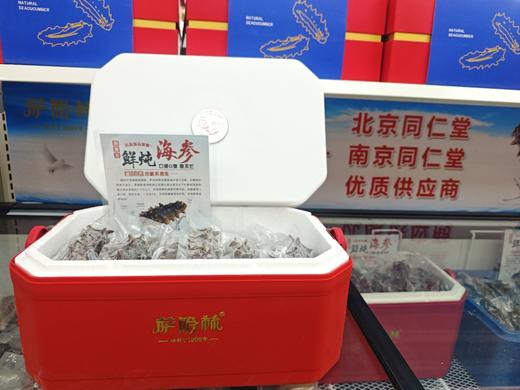 【年货节】俄罗斯海参干货萨哈林 鲜炖+鲜发  礼盒装 俄罗斯进口海参 商品图4