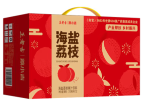 荔小吉海盐荔枝饮料 310ml