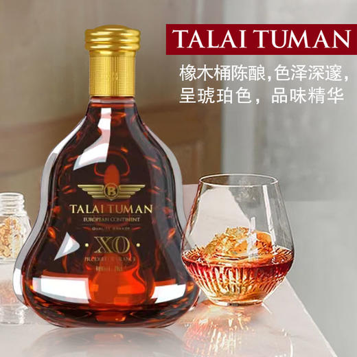【超值两瓶装】塔莱图曼·欧陆XO白兰地 酒感丰富 法国原产进口 700ml/瓶 商品图1