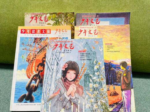 盲盒随机发10本：6岁起拍 少年文艺+读者文摘（2013-2022）年 随机10本 商品图5