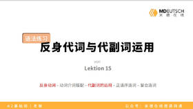 【L15】反身代词与代副词运用