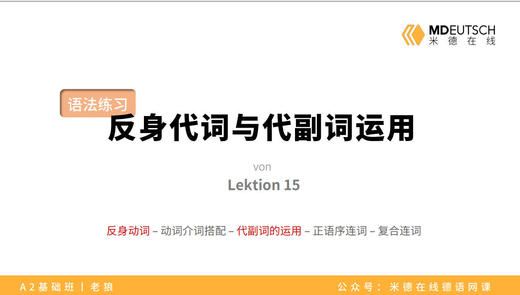 【L15】反身代词与代副词运用 商品图0