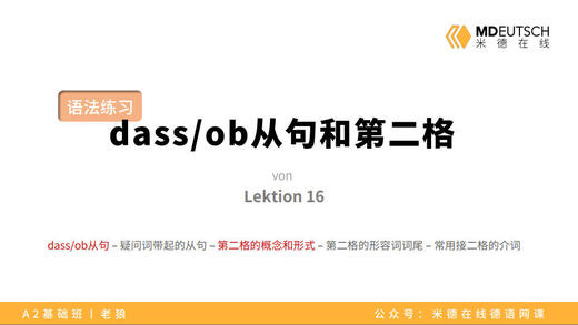 【L16】dass_ob从句和第二格 商品图0