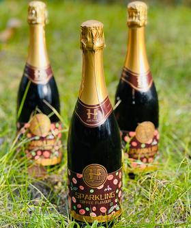 HURLSTONE赫尔斯顿零度含气红葡萄汁饮料澳洲进口无酒精葡萄汁0度起泡酒 赫尔斯顿0度咖啡味红葡萄汁