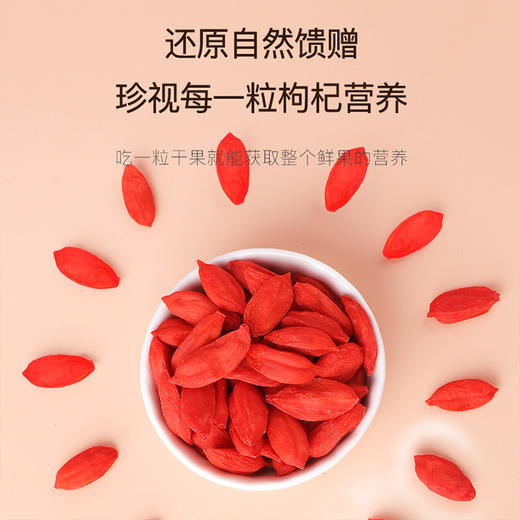宁夏核心产区 玺赞赛鲜枸杞子▏特优D级枸杞子  冻干枸杞 70g/瓶泡茶煲汤 商品图2