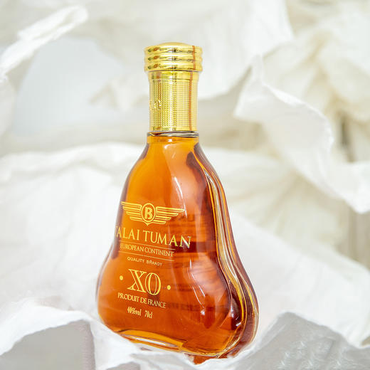 【超值两瓶装】塔莱图曼·欧陆XO白兰地 酒感丰富 法国原产进口 700ml/瓶 商品图4