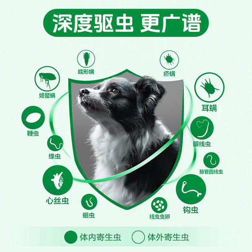 巴士宠米尔贝肟吡喹酮片3片/6片盒装 内外同驱 广谱驱虫 易吸收 海乐旺同款成份 线下款 商品图1