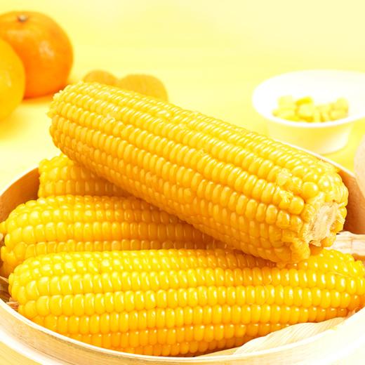 秋天的味道有机糯黄玉米10穗礼盒 商品图4