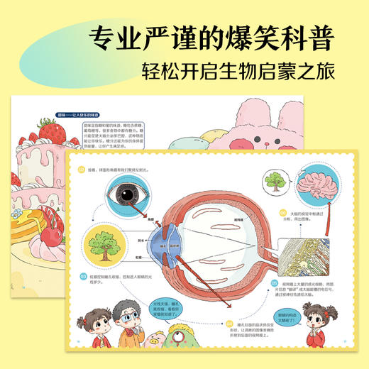 《疯狂的感觉》全6册  6-12岁  硬核科普配上爆笑内核 让知识顺着笑声钻进脑袋!生物启蒙就要这么好玩! 商品图3