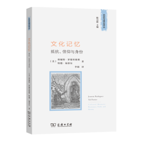 文化记忆：抵抗、信仰与身份(历史与理论译丛)