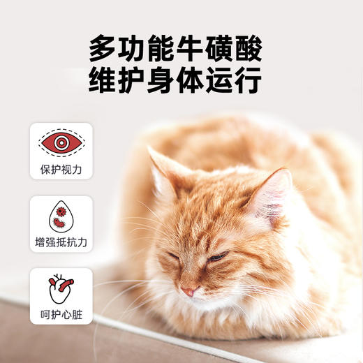 雷米高多维三效液体钙强力钙强力补-14宠物营养补剂 商品图4