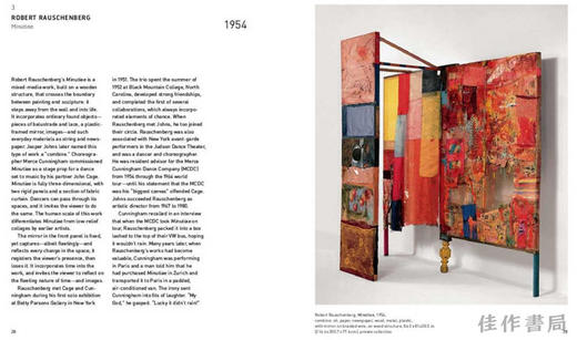 Pop Art: 50 Works of Art You Should Know / 波普艺术：50件你应该知道的作品 商品图3