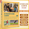 关节结构与功能 全面解析 第6版 刘楠 王于领编 运动医学康复医学物理医学专业入门参考书 人体关节结构与功能特点 人民卫生出版社 商品缩略图0