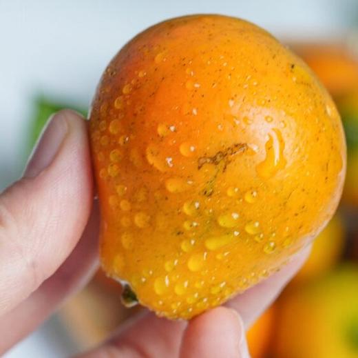 【顺丰发货！】融安脆蜜金柑三代 皮脆肉嫩，多汁纯甜；直接带皮吃，甜似蜜糖；果皮薄，果肉质地柔软，口感鲜美 维C满满 商品图7