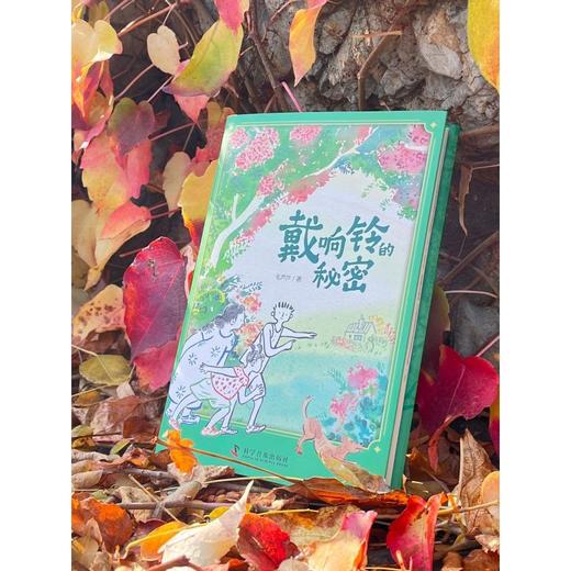 戴响铃的秘密 商品图3