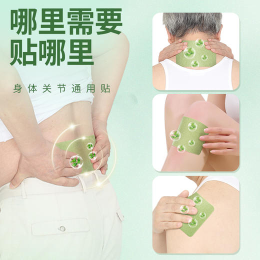 百年扁氏关宁贴 商品图1