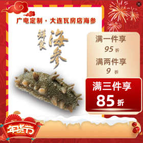 【闪电优选专属】大连瓦房店鲜食海参 活参鲜蒸