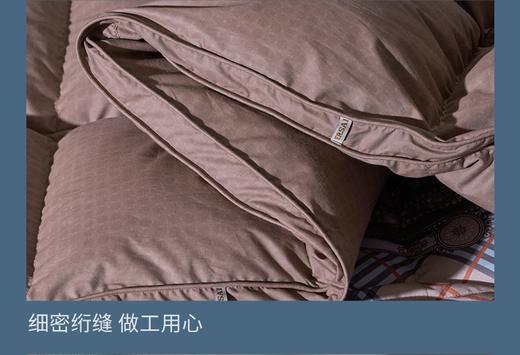 富安娜   匈牙利进口羽绒冬厚被  杰诺斯克 商品图7