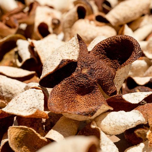 🍵新会陈皮/如愿小青柑 商品图4