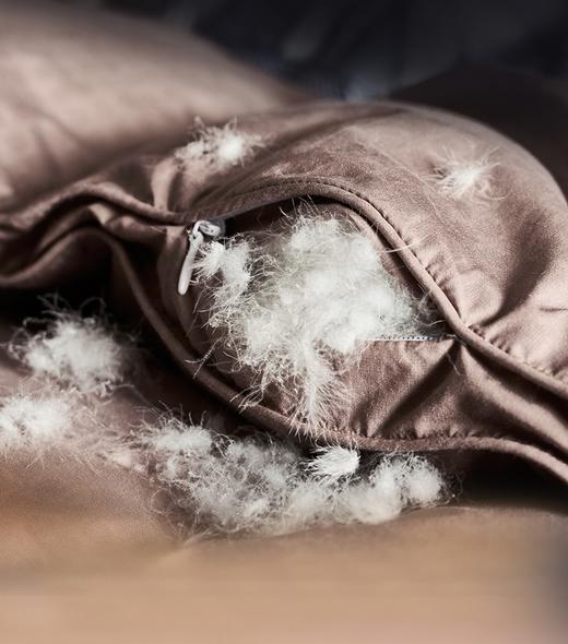 富安娜   匈牙利进口羽绒冬厚被  杰诺斯克 商品图5