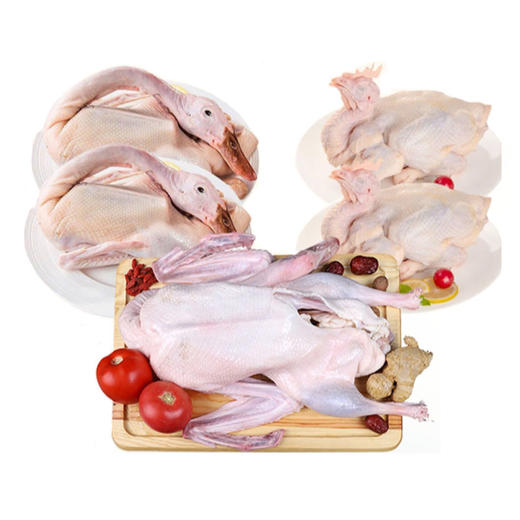 泓花会散养谷饲鸡鸭鹅大团圆组合 商品图0