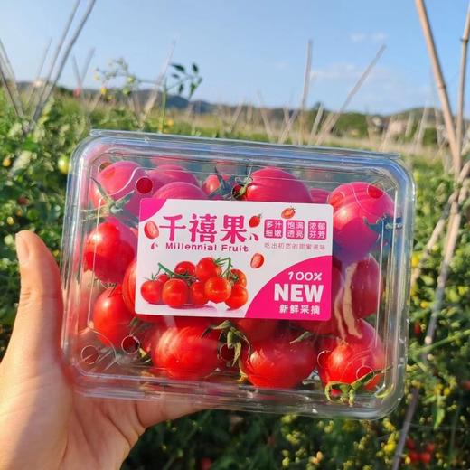 【分仓直发包邮】广西圣女果系列（粉果）1.25斤/盒*4盒（礼盒装） 商品图3