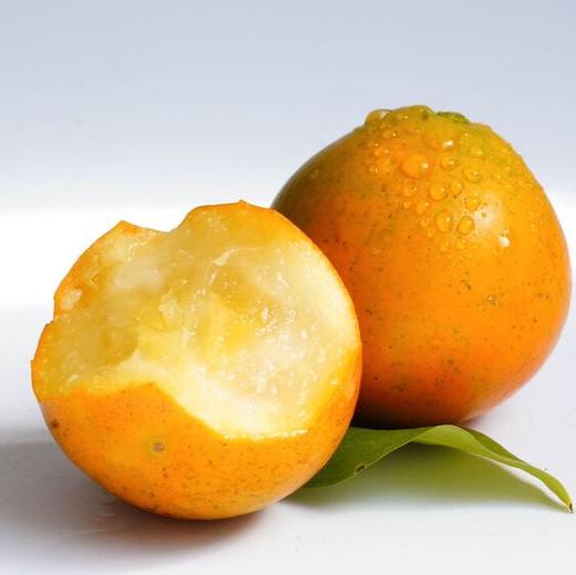 【顺丰发货！】融安脆蜜金柑三代 皮脆肉嫩，多汁纯甜；直接带皮吃，甜似蜜糖；果皮薄，果肉质地柔软，口感鲜美 维C满满 商品图9