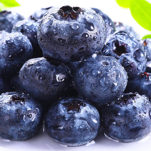 【分仓直发包邮】L25花香蓝莓125g*4盒（果径12mm+） 商品图4