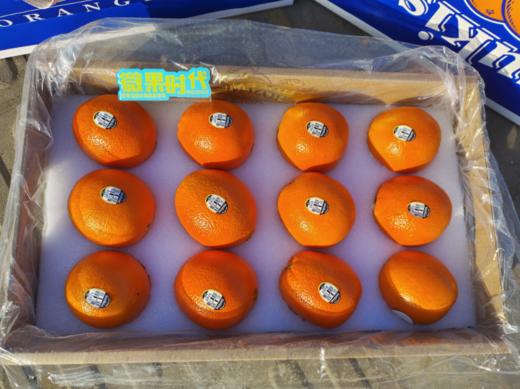 suukist橙子礼盒 商品图2