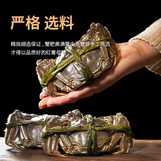 【蟹肥黄满❗️花雕醉蟹6只礼盒装】酒味醇厚，蟹香迷人，舌尖上的鲜甜余味绵长！熟醉蟹即食海鲜冷冻熟食螃蟹大闸蟹蛇年新年春节年货礼物 商品图2