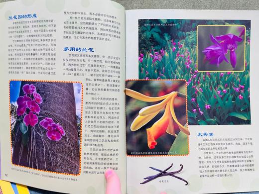 盲盒随机发10本：3岁起拍 十万个为什么（2013-2022）年 随机10本 商品图1