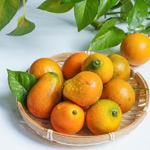 【顺丰发货！】融安脆蜜金柑三代 皮脆肉嫩，多汁纯甜；直接带皮吃，甜似蜜糖；果皮薄，果肉质地柔软，口感鲜美 维C满满 商品图10