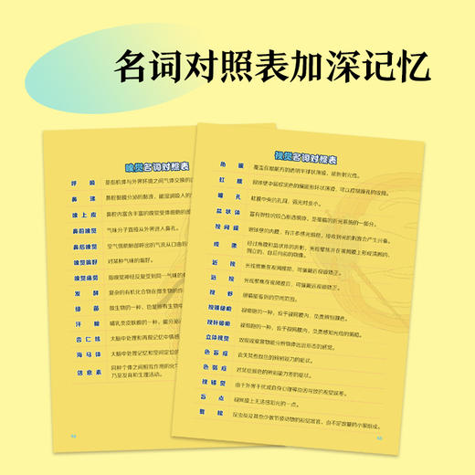 《疯狂的感觉》全6册  6-12岁  硬核科普配上爆笑内核 让知识顺着笑声钻进脑袋!生物启蒙就要这么好玩! 商品图4
