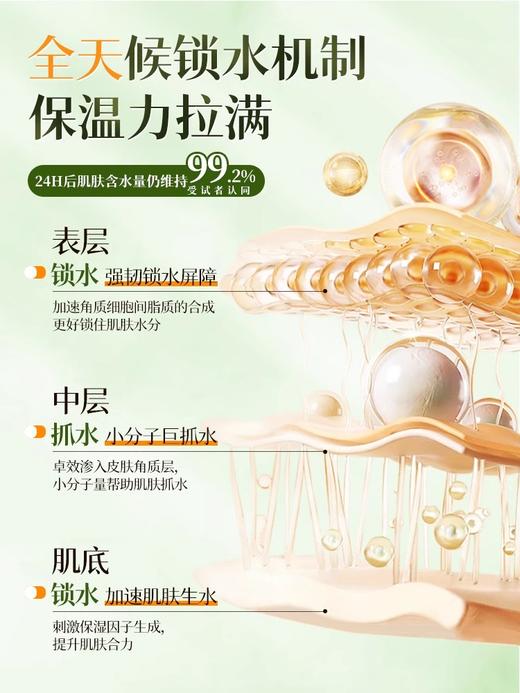 【5min补水+修护 熬夜也发光】积雪草植萃精华面膜 25ml*10片/盒装#积雪草b5面膜补水美白去黄气暗沉提亮熬夜舒缓修护保湿官方旗舰店 商品图3