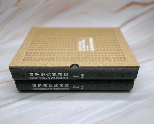 城市研究关键词  （美）雷·哈奇森 主编  三联书店 商品图2