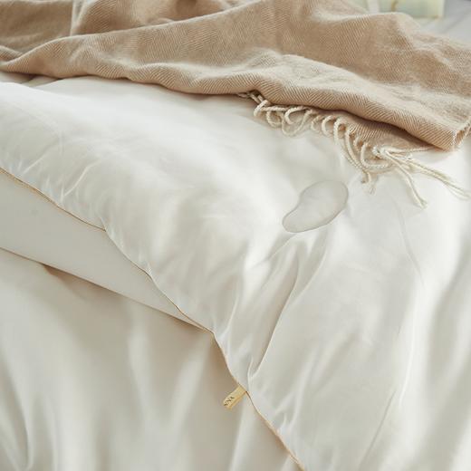 富安娜   舒柔大豆抗菌冬厚被/清朗 商品图1