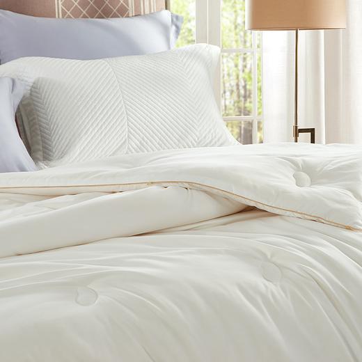 富安娜   舒柔大豆抗菌冬厚被/清朗 商品图3