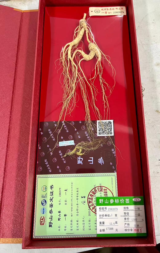 ＃山参*年年好评＃国药老字号，杭检野山参，正宗正品标价牌齐全，一支一价，对号购买 商品图1