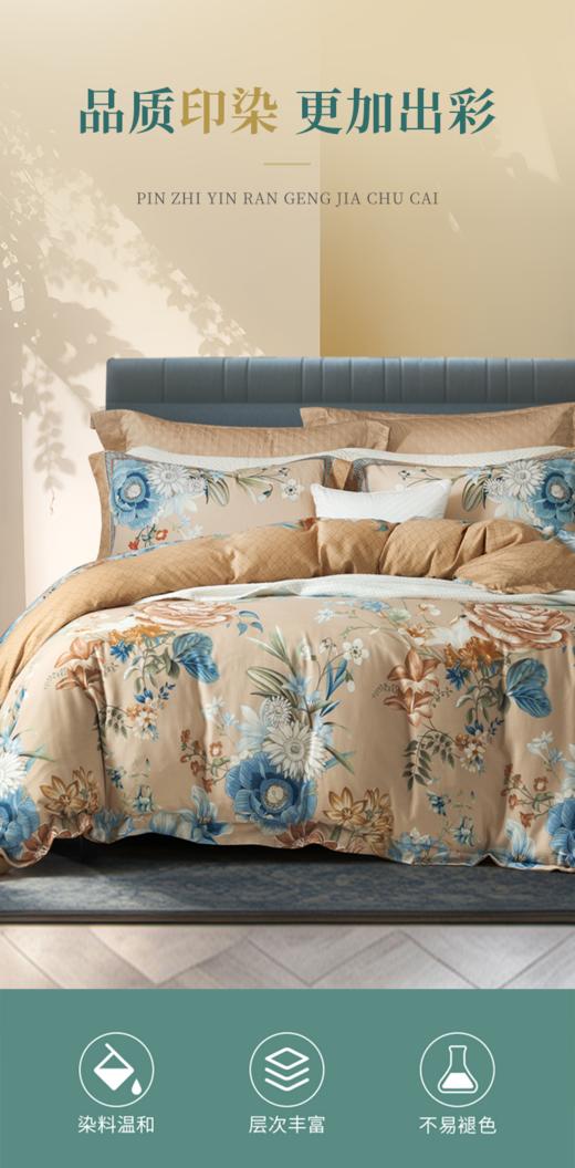 富安娜   纯棉四件套  瑞玉堂 商品图4