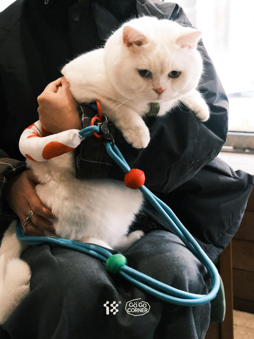 【18周边商店】宠物易拉罐背包（无牵引绳）/宠物牵引绳 商品图3