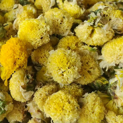 野生小菊花茶 | 纯野生，少量上架！今年头茬上新，最好的一批 商品图3