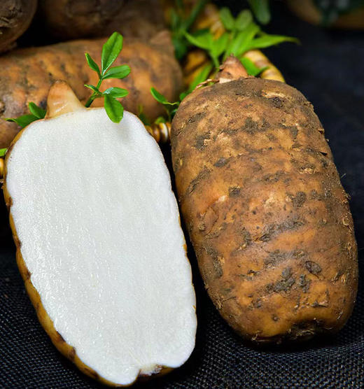 云南新鲜天麻 商品图1