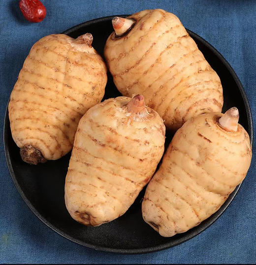 云南新鲜天麻 商品图5