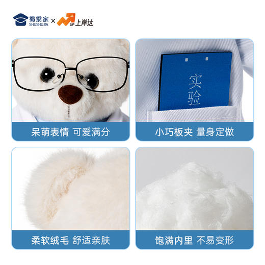【实付满199送钥匙扣】【实验员站姿熊】可定制创意毛绒职业小熊公仔儿童玩具服装可脱送礼礼物 商品图6