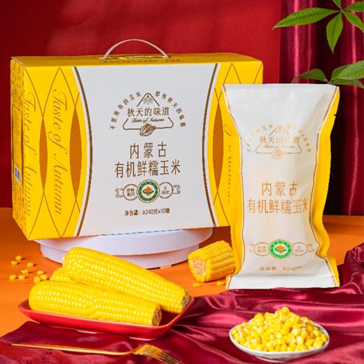 秋天的味道有机糯黄玉米10穗礼盒 商品图1