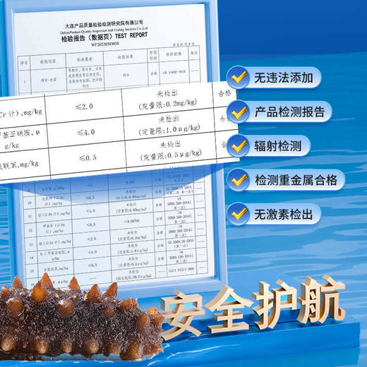 【年货节】俄罗斯海参干货萨哈林 鲜炖+鲜发  礼盒装 俄罗斯进口海参 商品图5