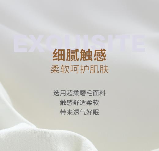 富安娜   舒柔大豆抗菌冬厚被/清朗 商品图6